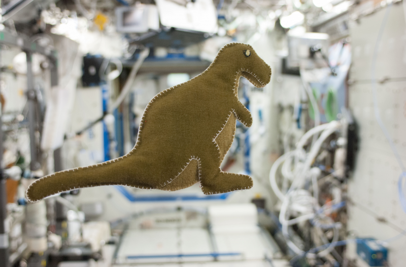 Dinos in the ISS, the story behind the collection