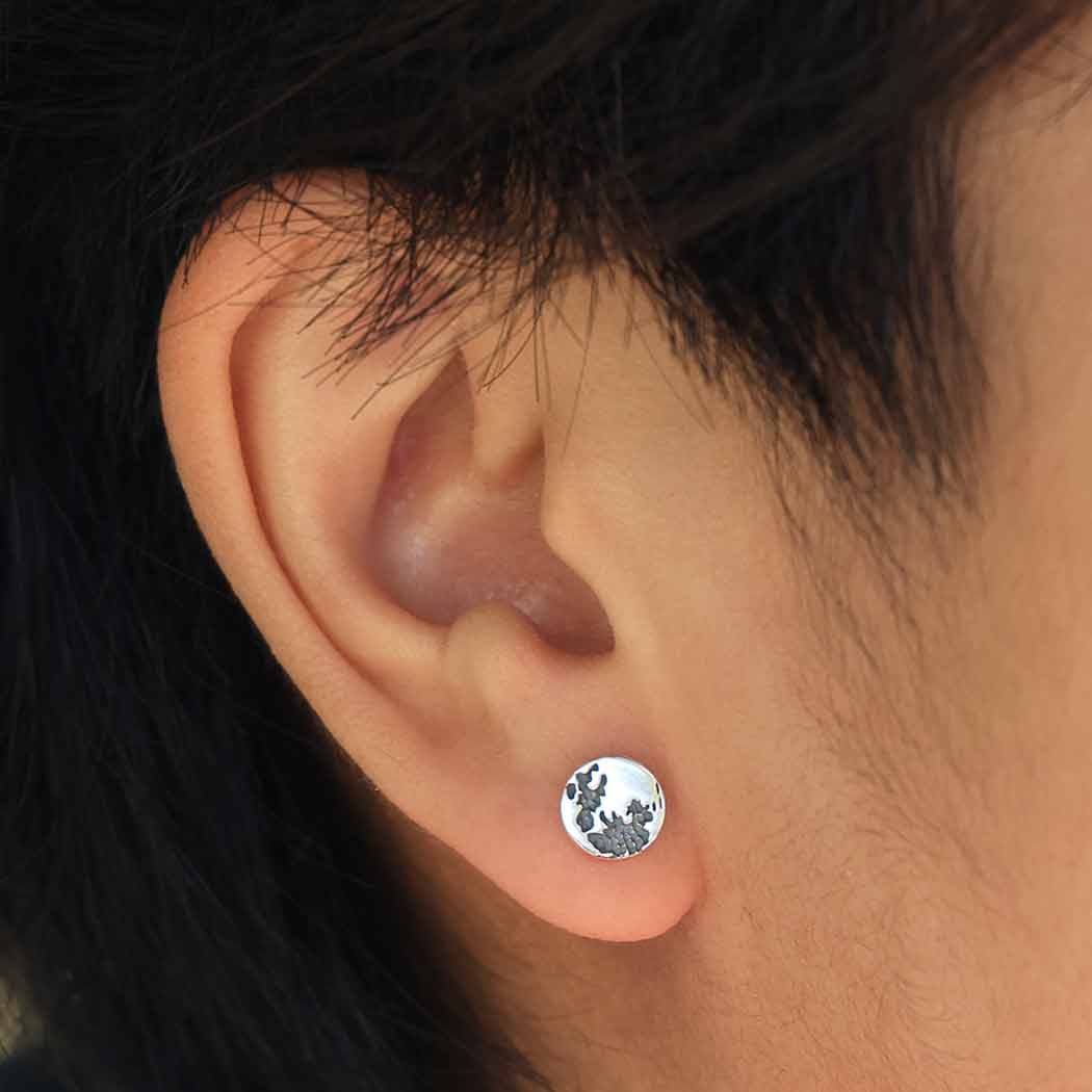Silver earrings moon (studs)