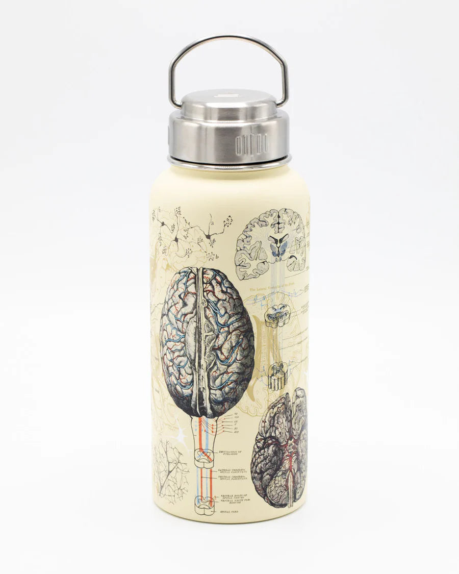 Drinking bottle "Brain & Neuroscience" (950ml)