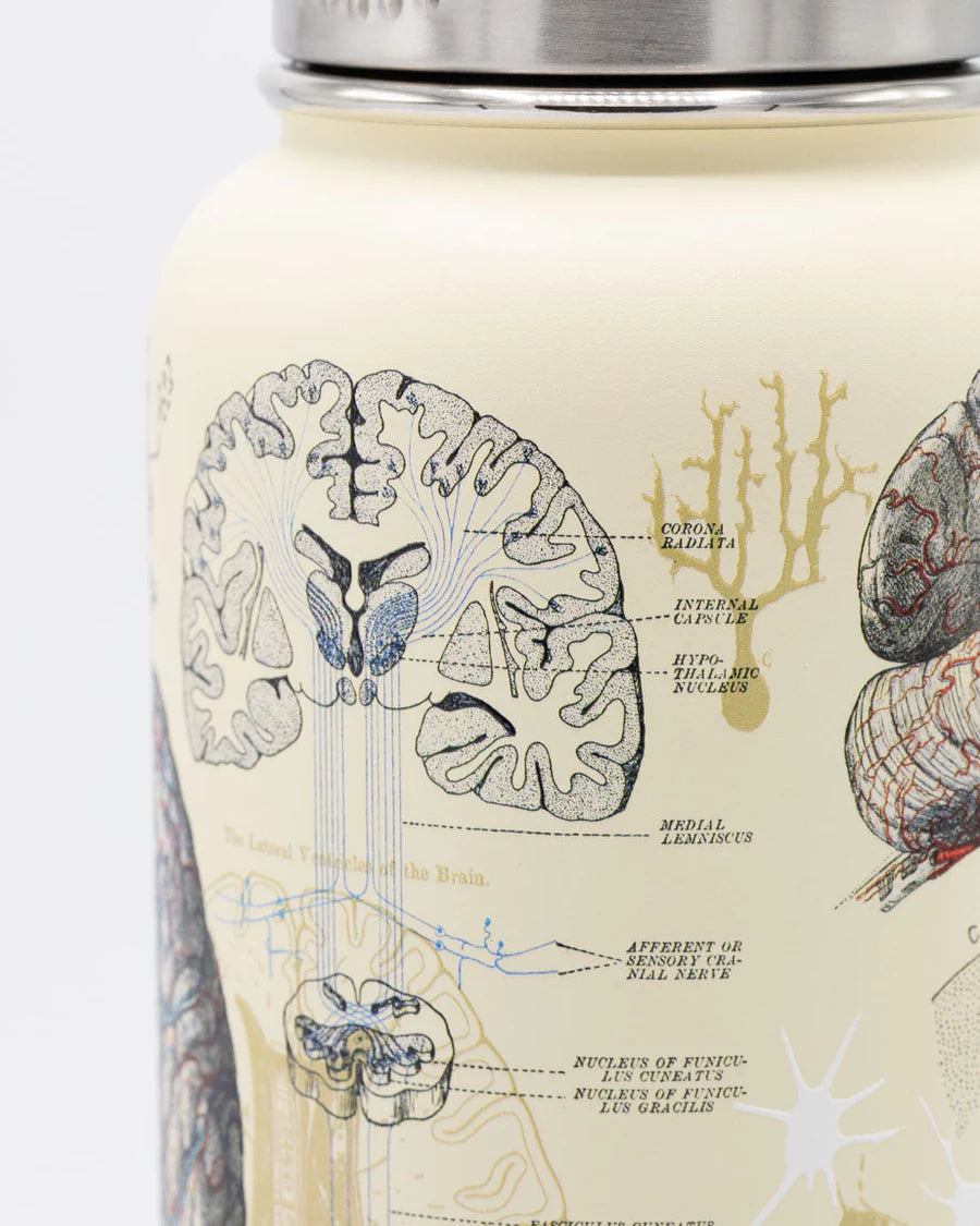 Drinking bottle "Brain & Neuroscience" (950ml)