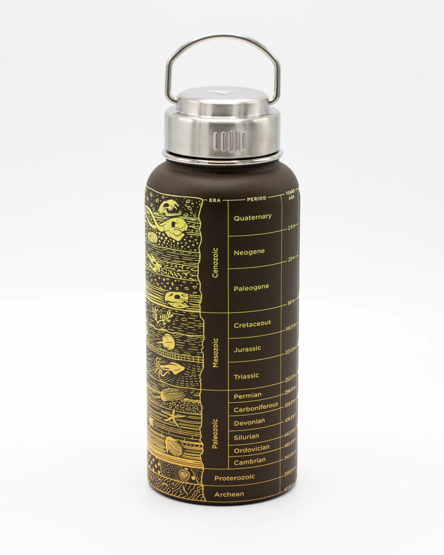 Drinking Bottle Fossils & Earth Layers (950ml)