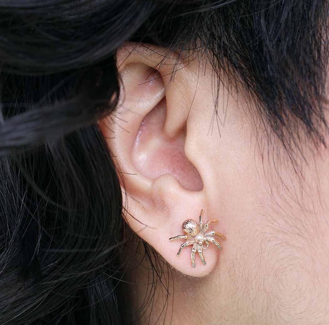 Silver earrings with bronze spider