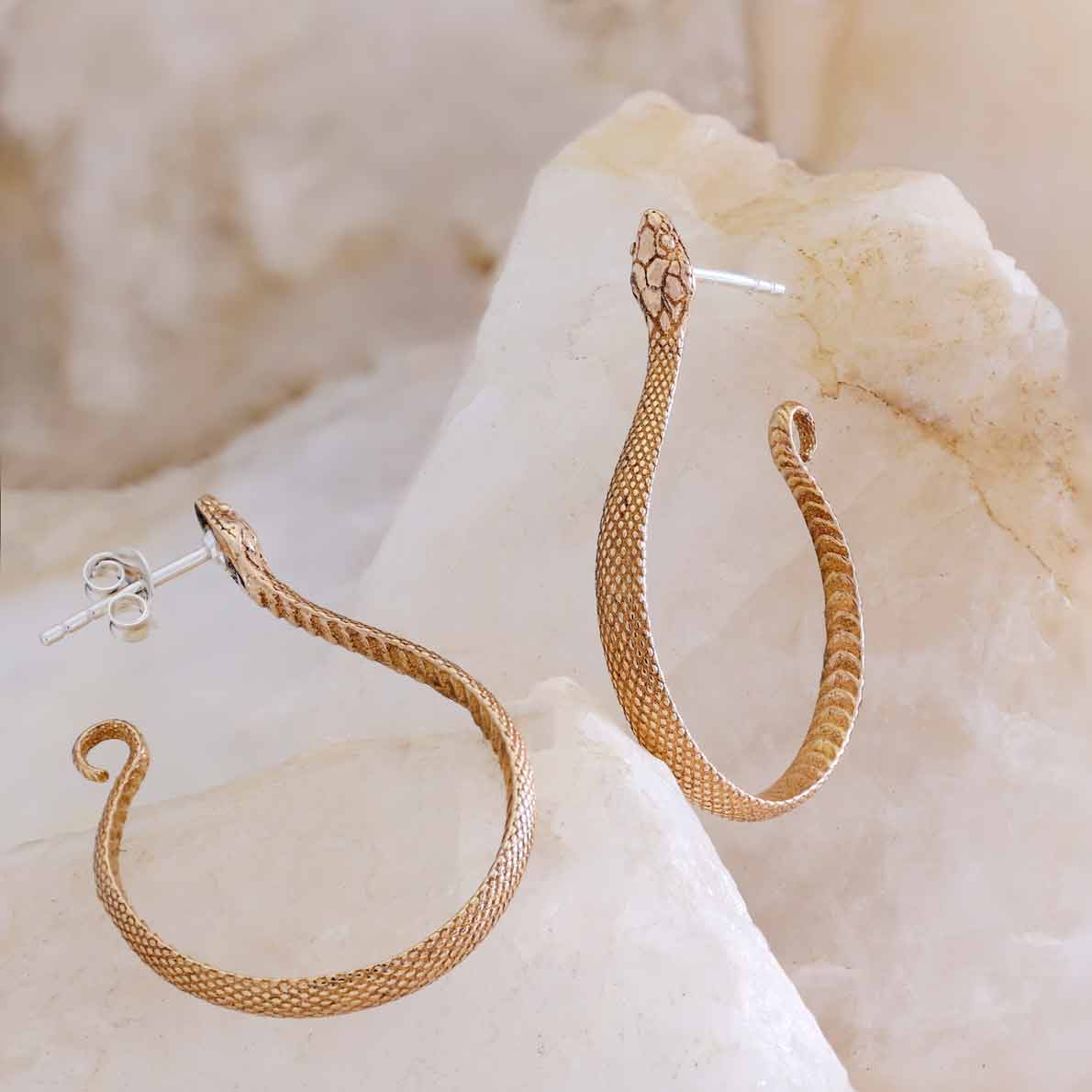 Silver studs with bronze snake