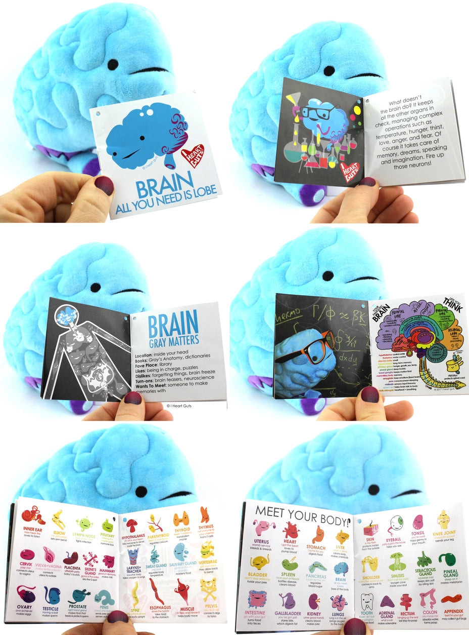 plushie brain - All you need is lobe