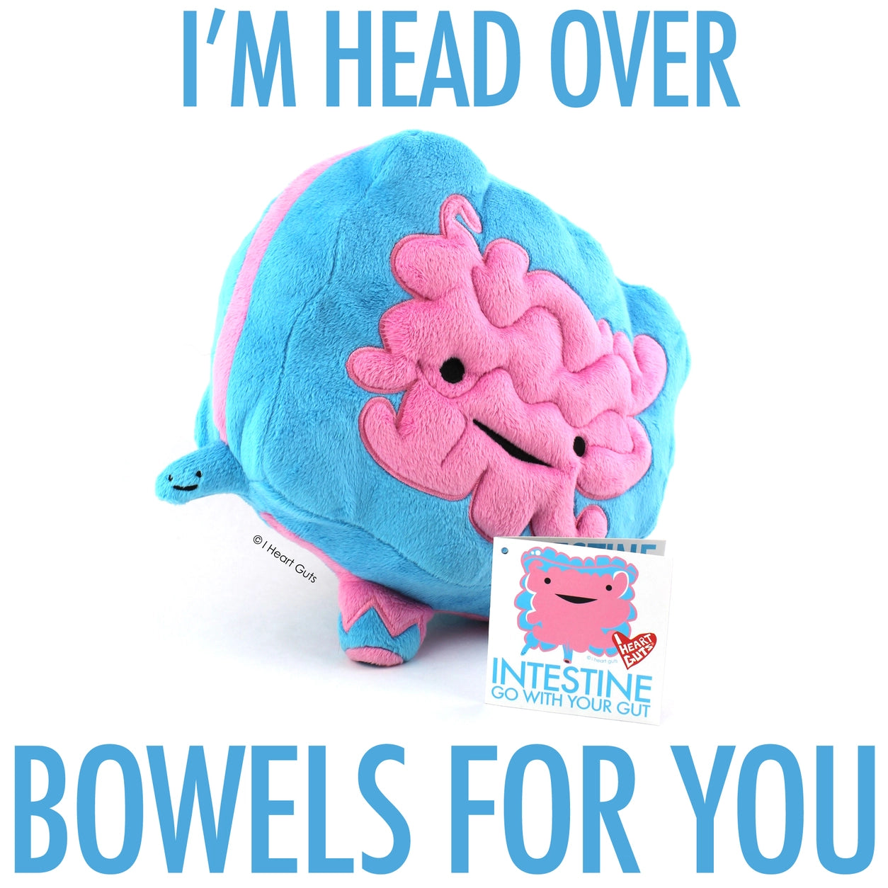 plushie bowels - Go with your gut