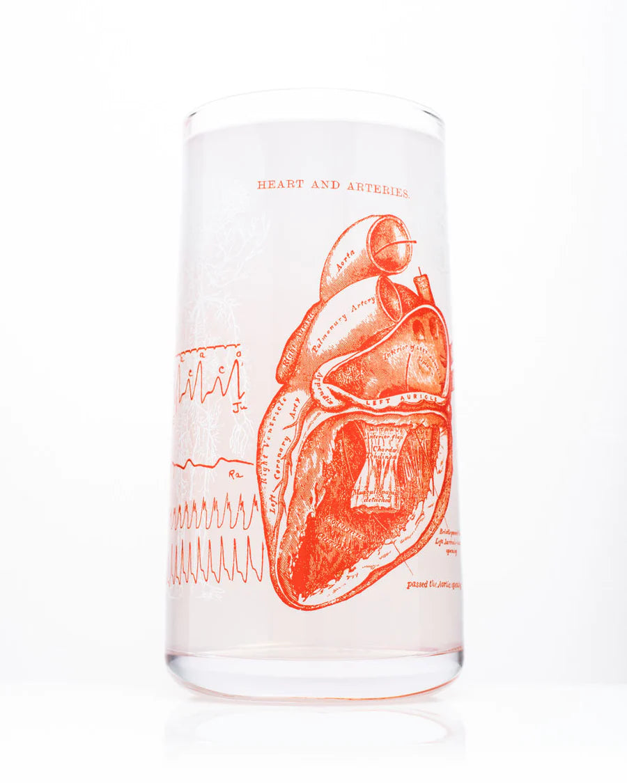 Glass anatomical heart