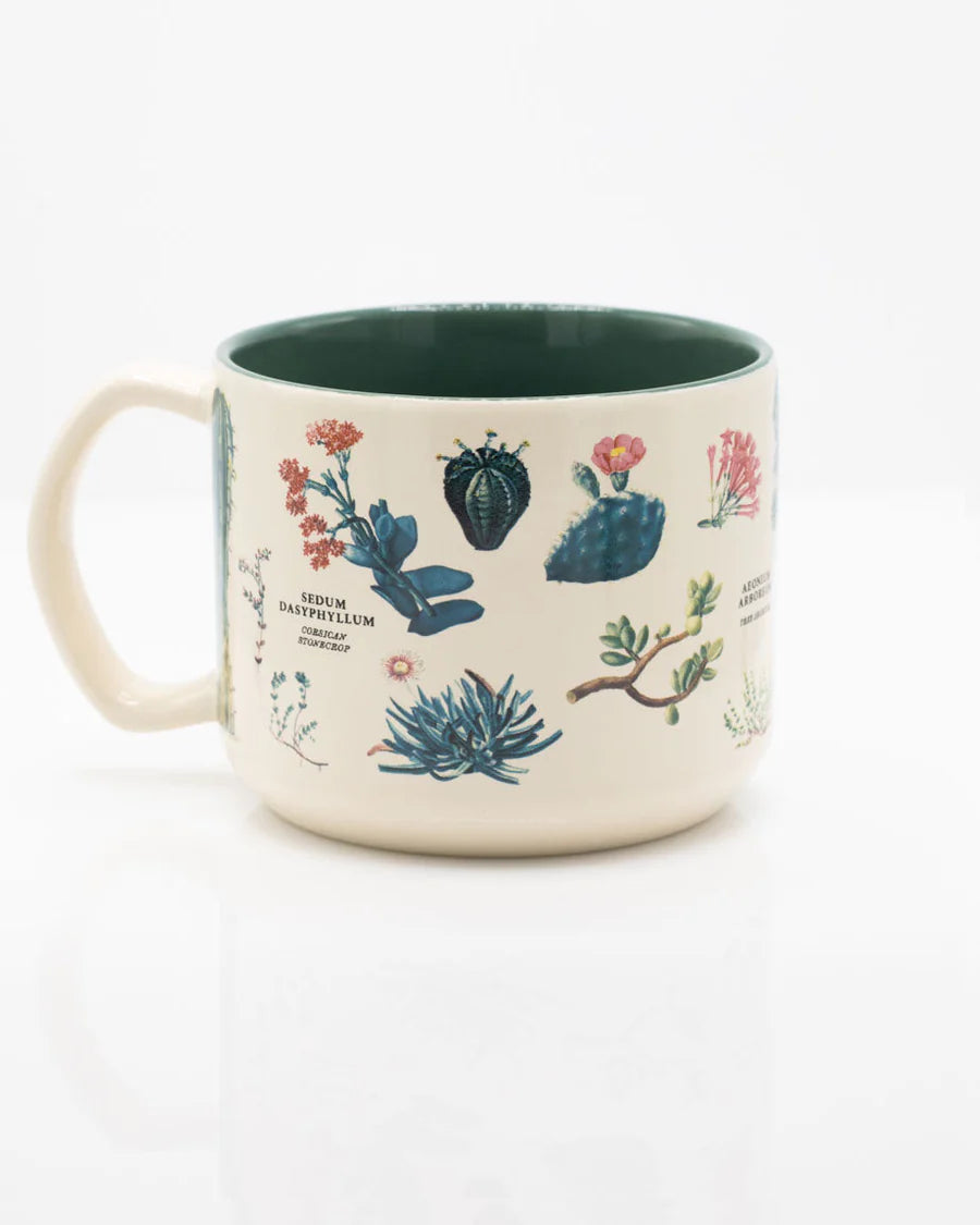 Mug Succulents