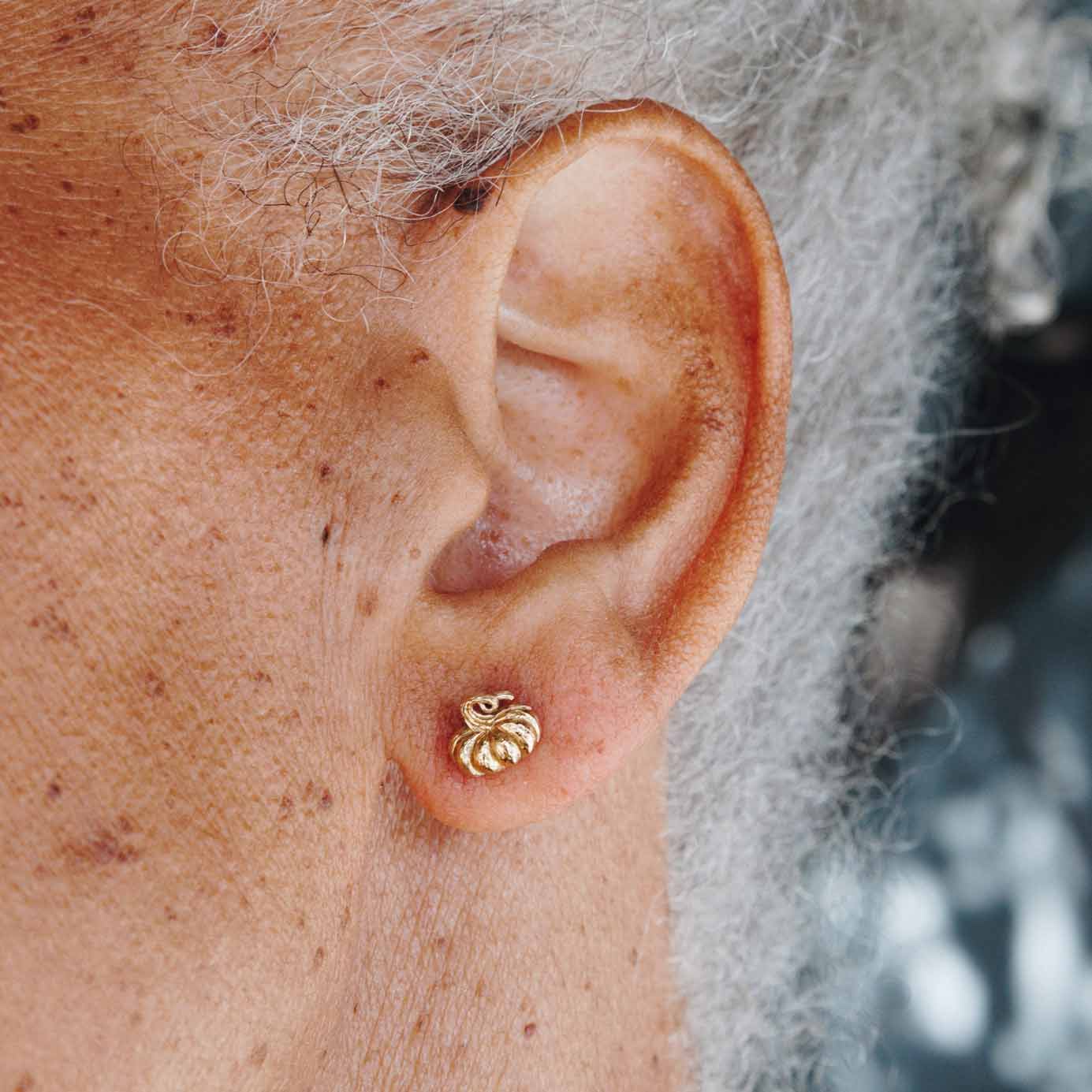 Silver earrings with bronze pumpkin