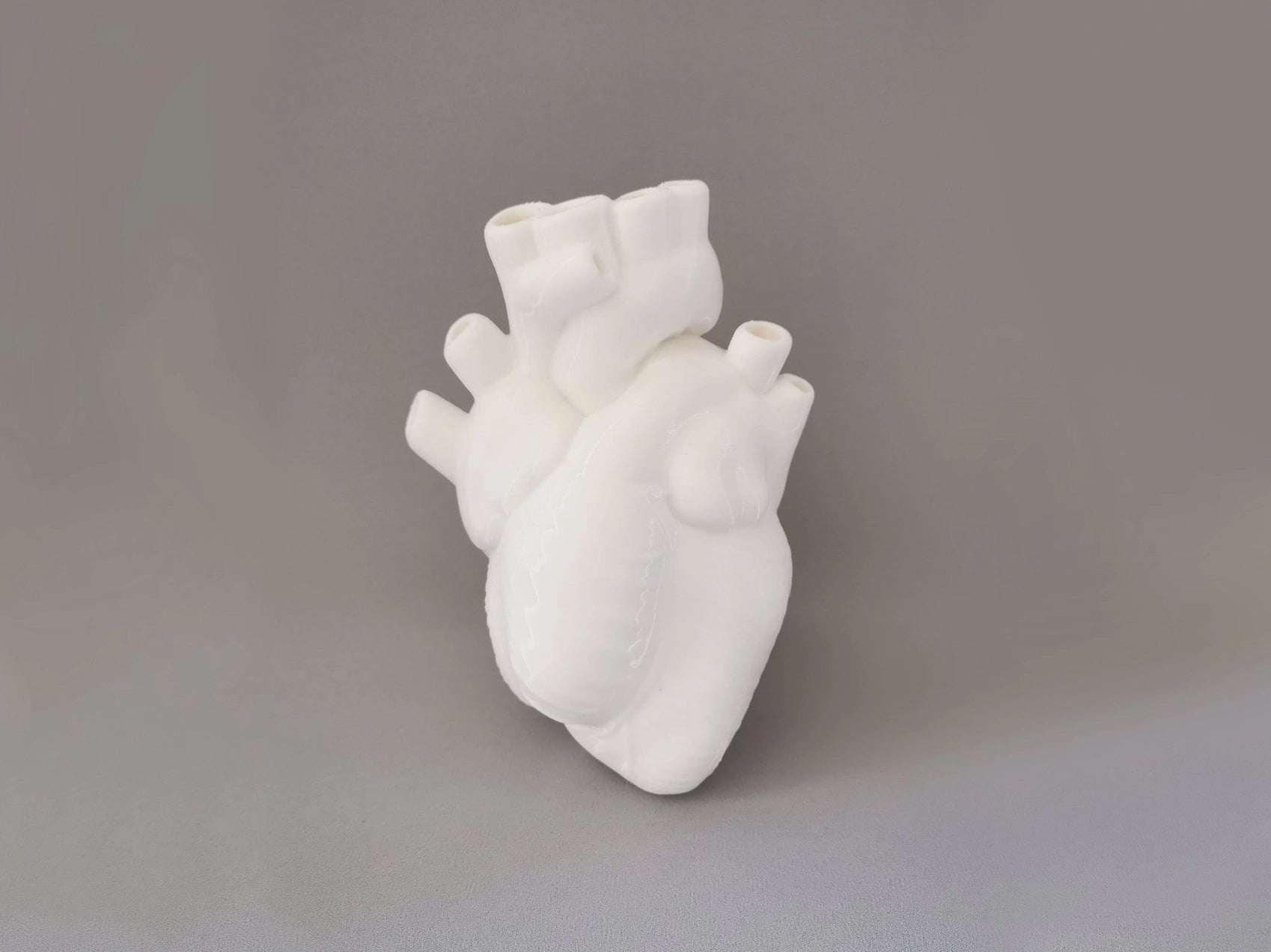 Decorative anatomical heart