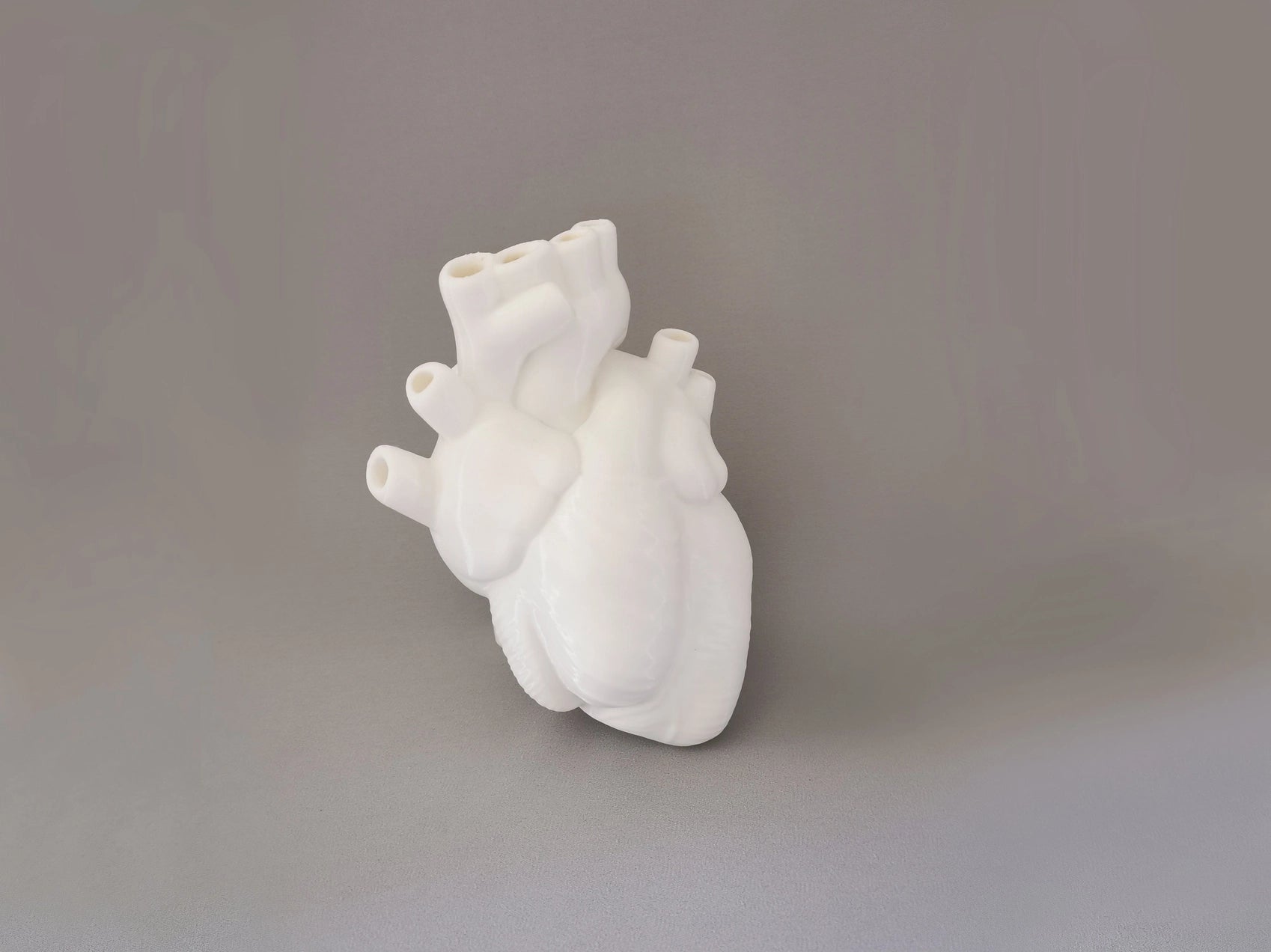 Decorative anatomical heart