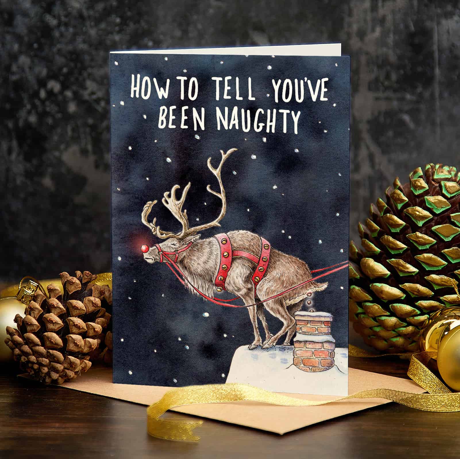 Greeting card Christmas "How to tell you've been naughty" -. Fairy Positron