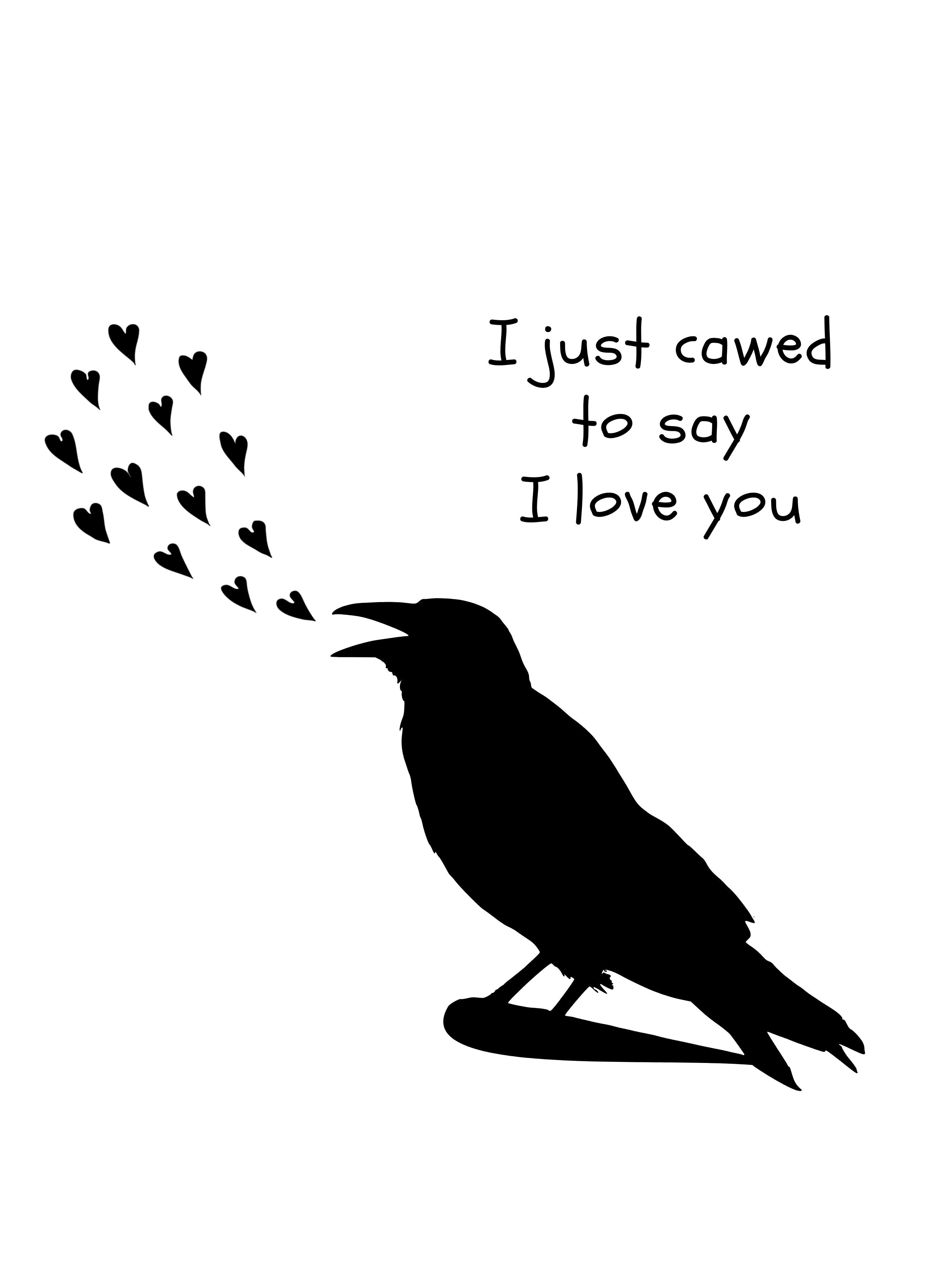 Body raven "I just cawed to say I love you" - Fairy Positron