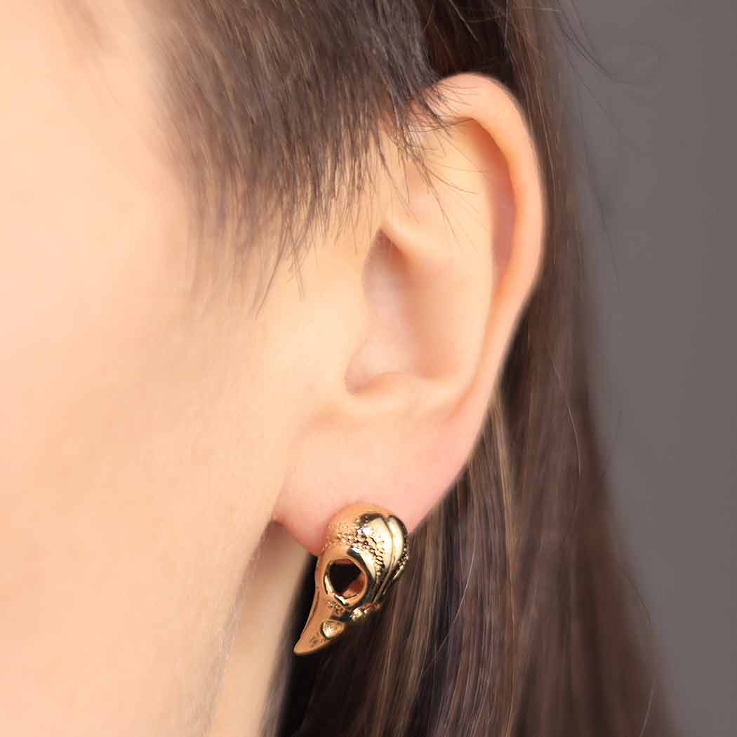 Silver earrings with bronze raven skull