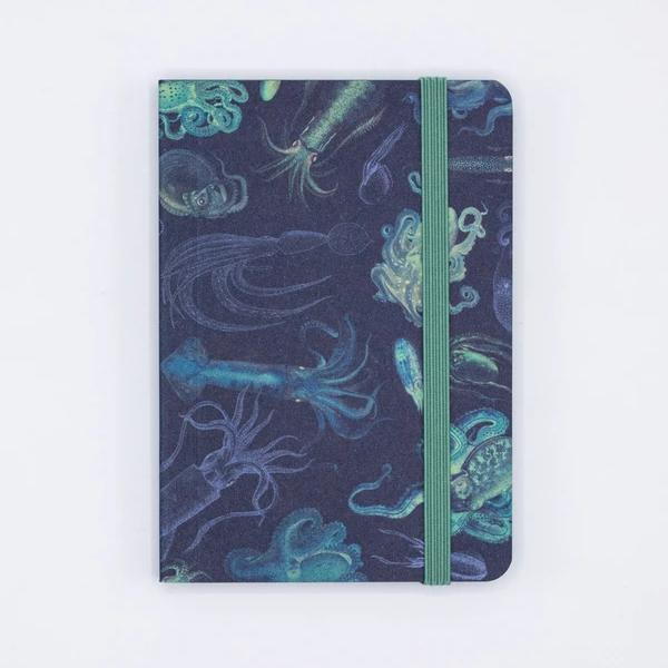 Mini notebook "Sea Monsters: Octopus & Squid" -. Fairy Positron