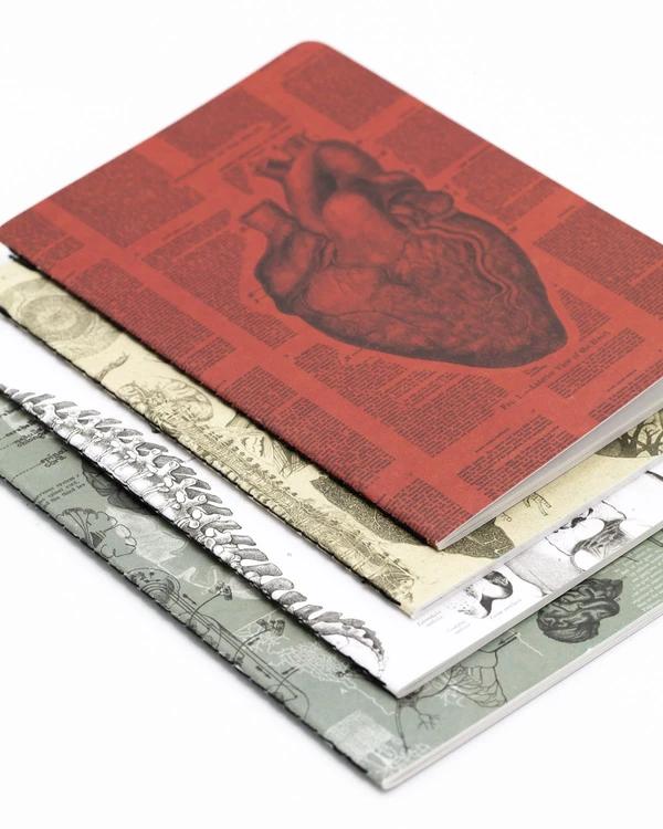 Set of pocket notebooks anatomy - Fairy Positron