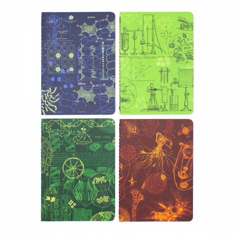 Set of pocket notebooks lab - Fairy Positron