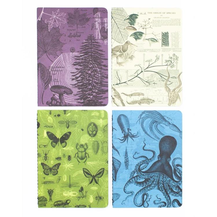 Set of pocket notebooks natural science - Fairy Positron