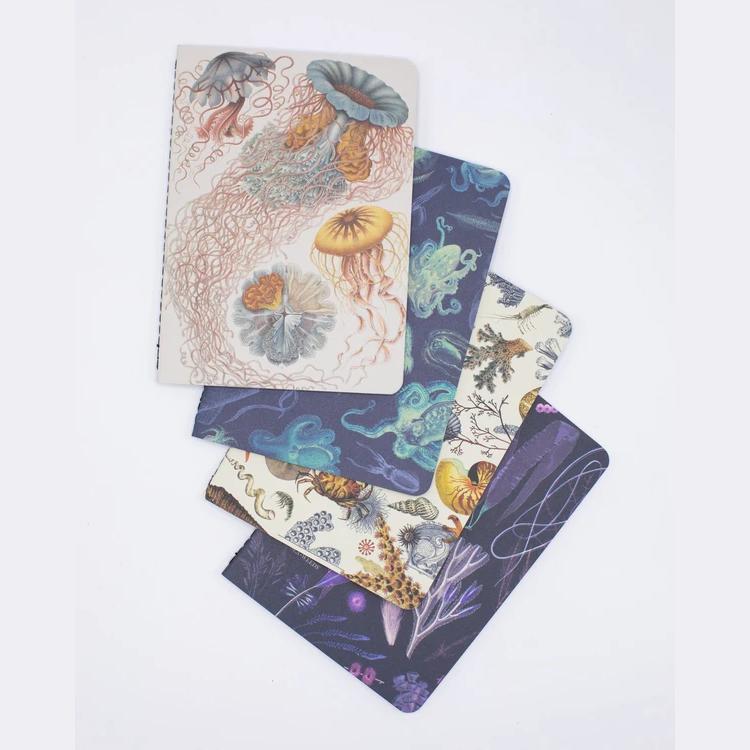 Set of pocket notebooks ocean - Fairy Positron
