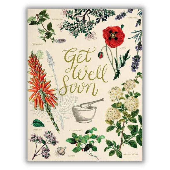 Greeting card medical herbs "Get well soon" -. Fairy Positron