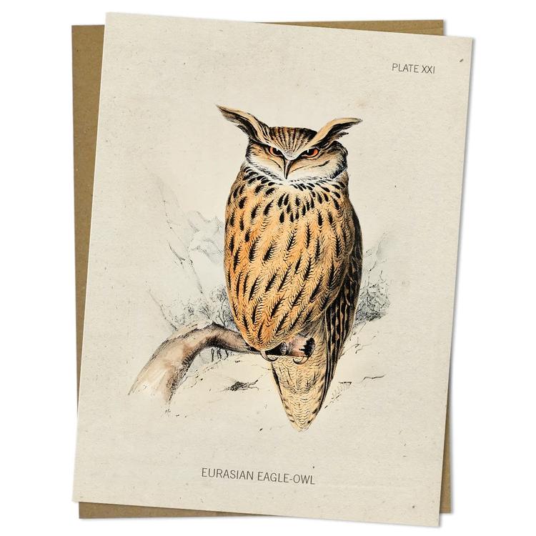Greeting card eagle owl - Fairy Positron