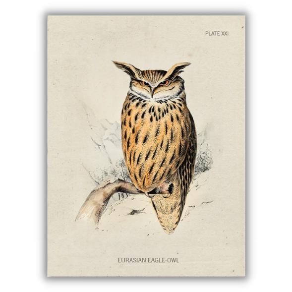 Greeting card eagle owl - Fairy Positron