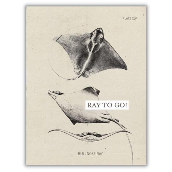 Greeting card ray "Ray to go" -. Fairy Positron