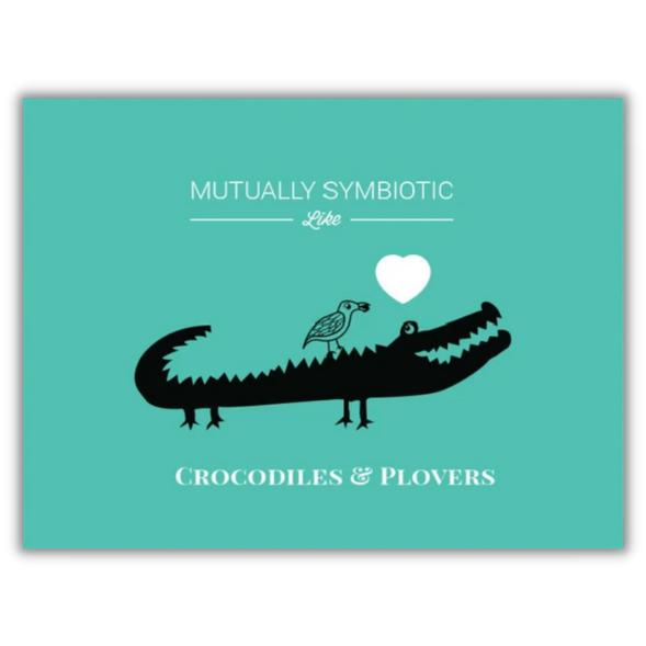 Greeting card "Symbiotic like crocodiles and plovers" -. Fairy Positron