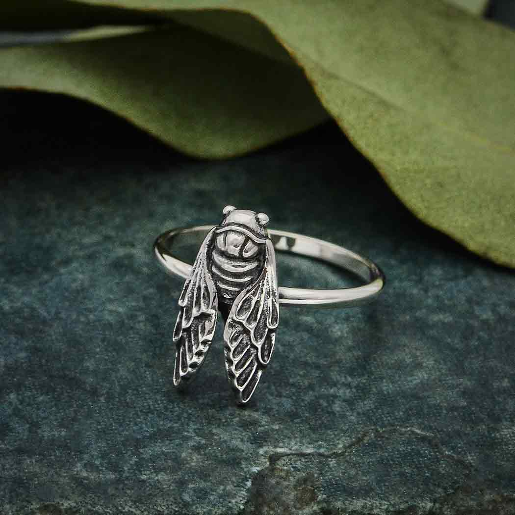 Silver ring cicada - Fairy Positron